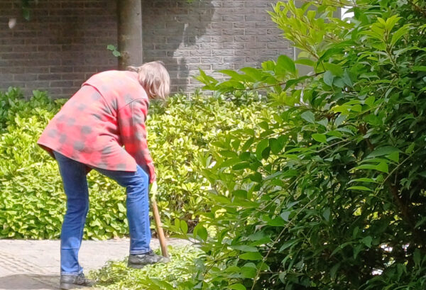 Groenende Gemeente